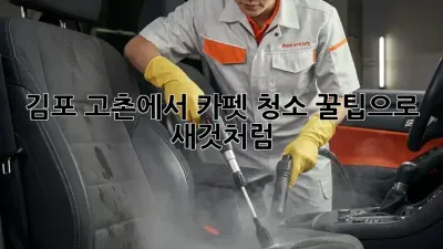 김포 고촌에서 카펫 청소, 꿀팁으로 새것처럼!
